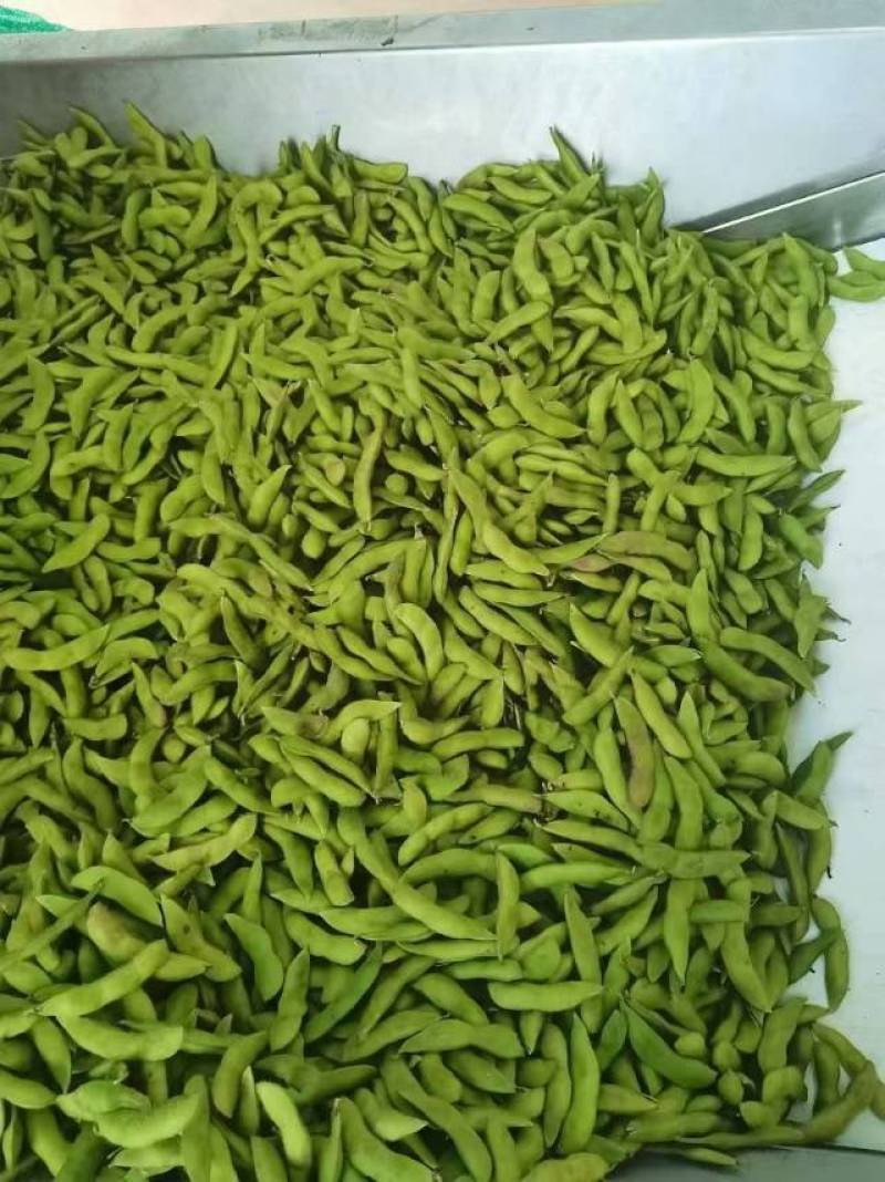 新鲜毛豆，田园时蔬，营养美味，直供农场，快来尝鲜！