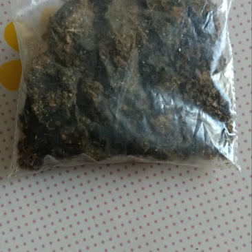 猪辰砂也叫猪宝**中药材