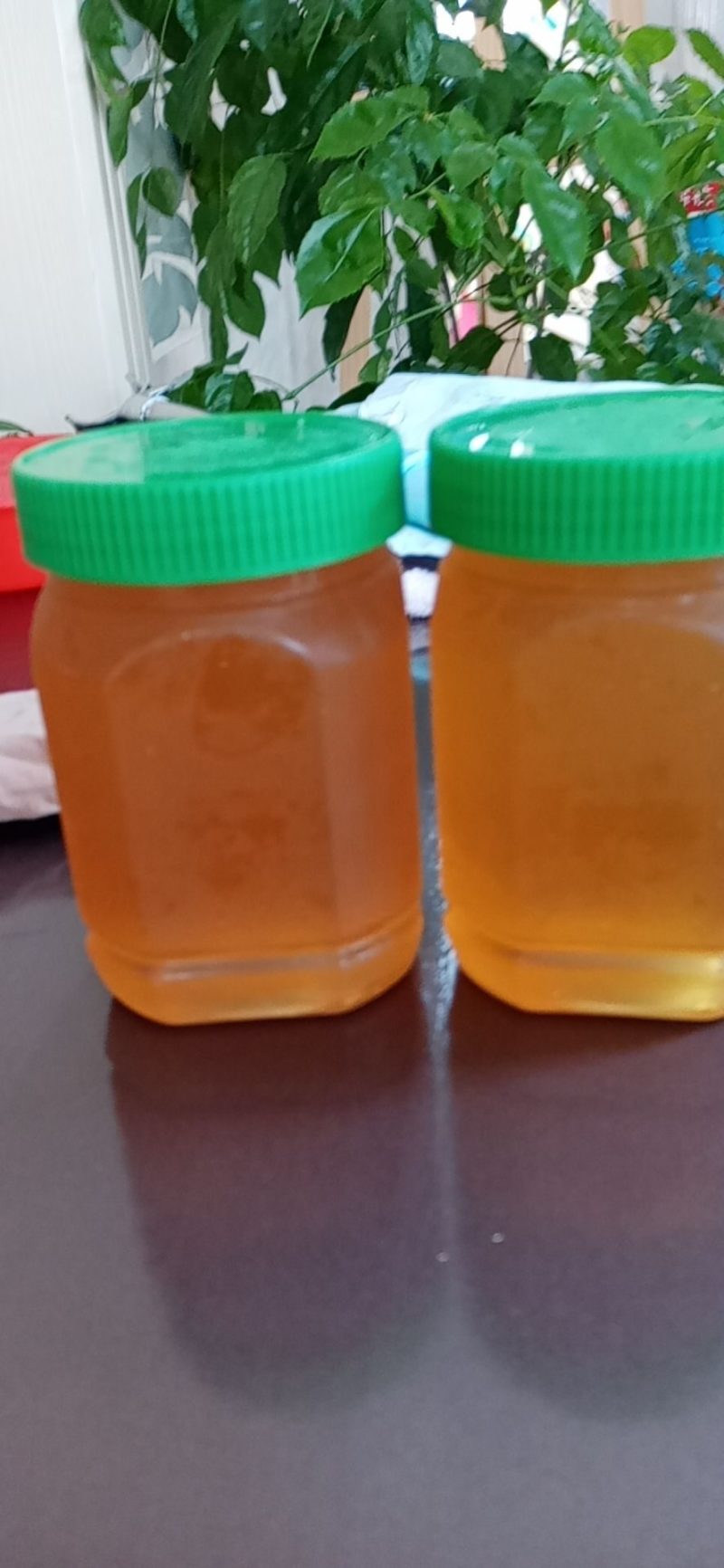 土蜂蜜