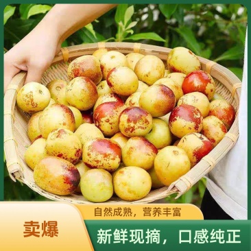山东沾化冬枣新鲜应季水果枣子5斤包邮产地直发