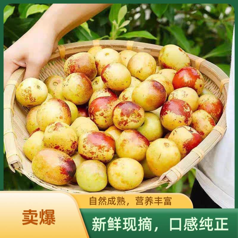 山东沾化冬枣新鲜应季水果枣子5斤包邮产地直发