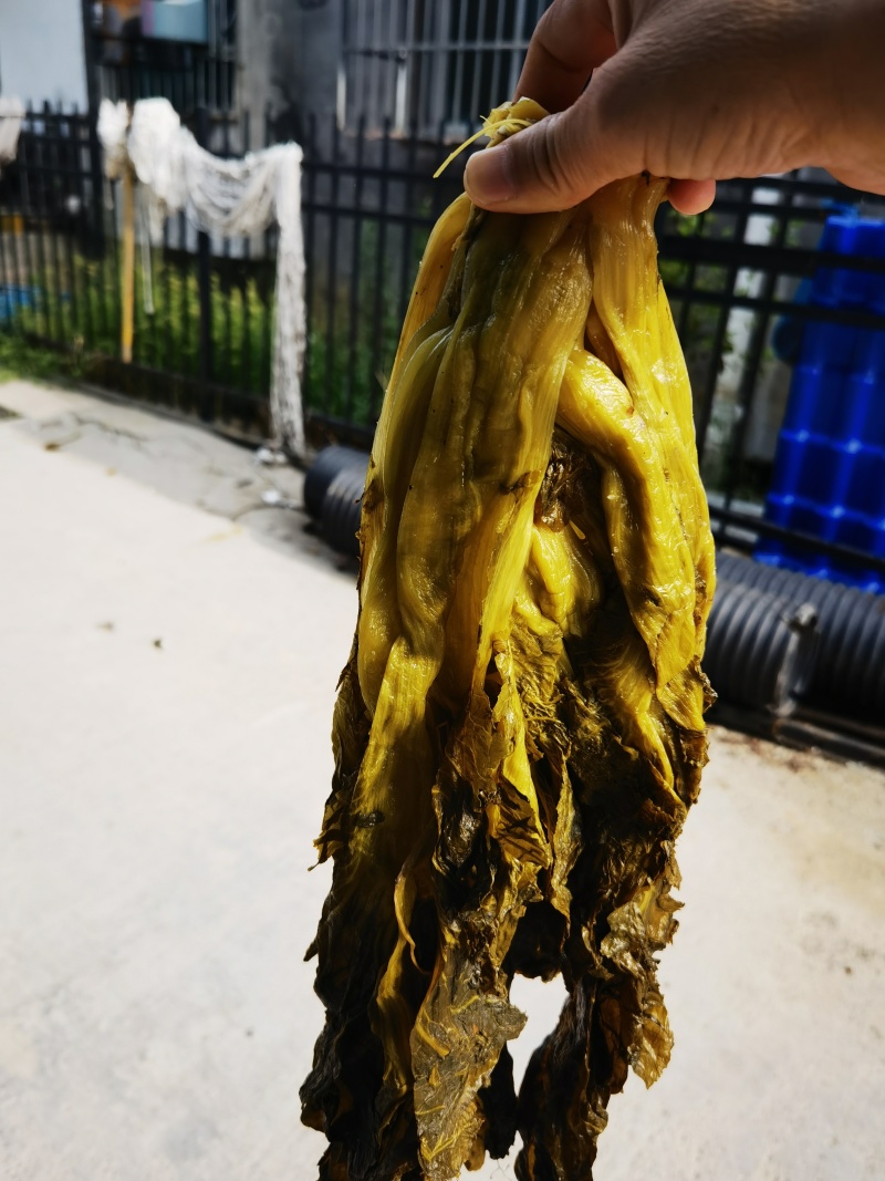 【腌芥菜】腌制酸菜国家地理标志农产品，量大价格便宜。