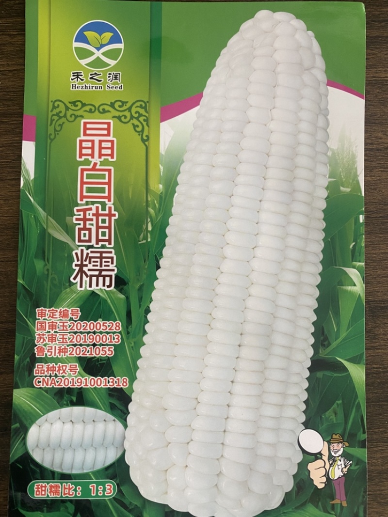 甜糯玉米种子，优质种子大田作物，南北通种欢迎老板咨询