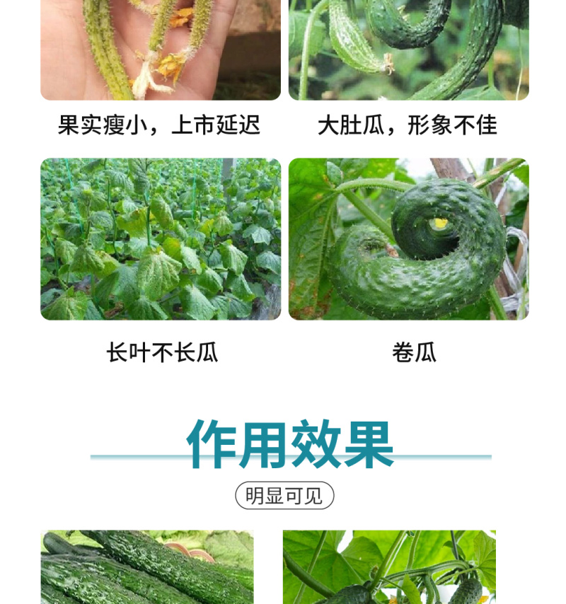 施劲章植物疫苗解药害降农残有机水溶肥料植物免疫