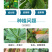 施劲章植物疫苗解药害降农残有机水溶肥料植物免疫