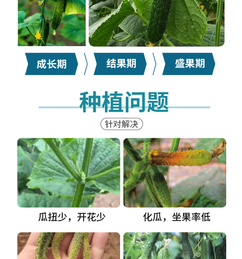 施劲章植物疫苗解药害降农残有机水溶肥料植物免疫