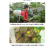 施劲章植物疫苗解药害降农残有机水溶肥料植物免疫