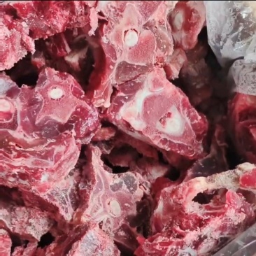 多肉羊蝎子，开箱实拍，颜色非常新鲜
