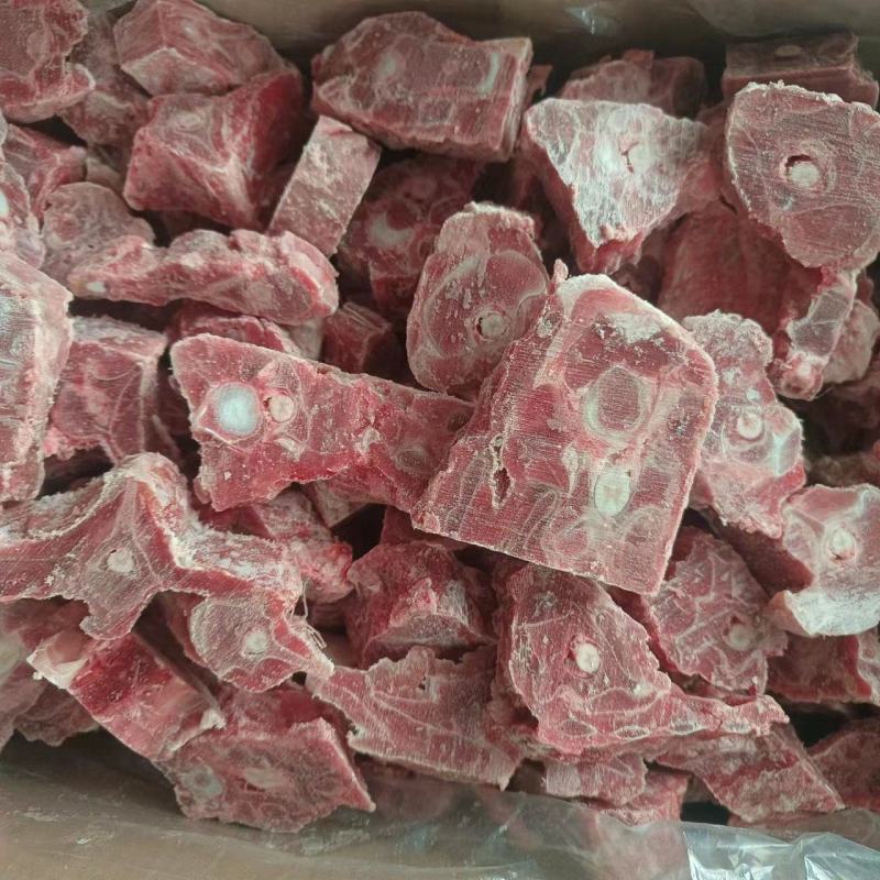 加肥羊蝎子