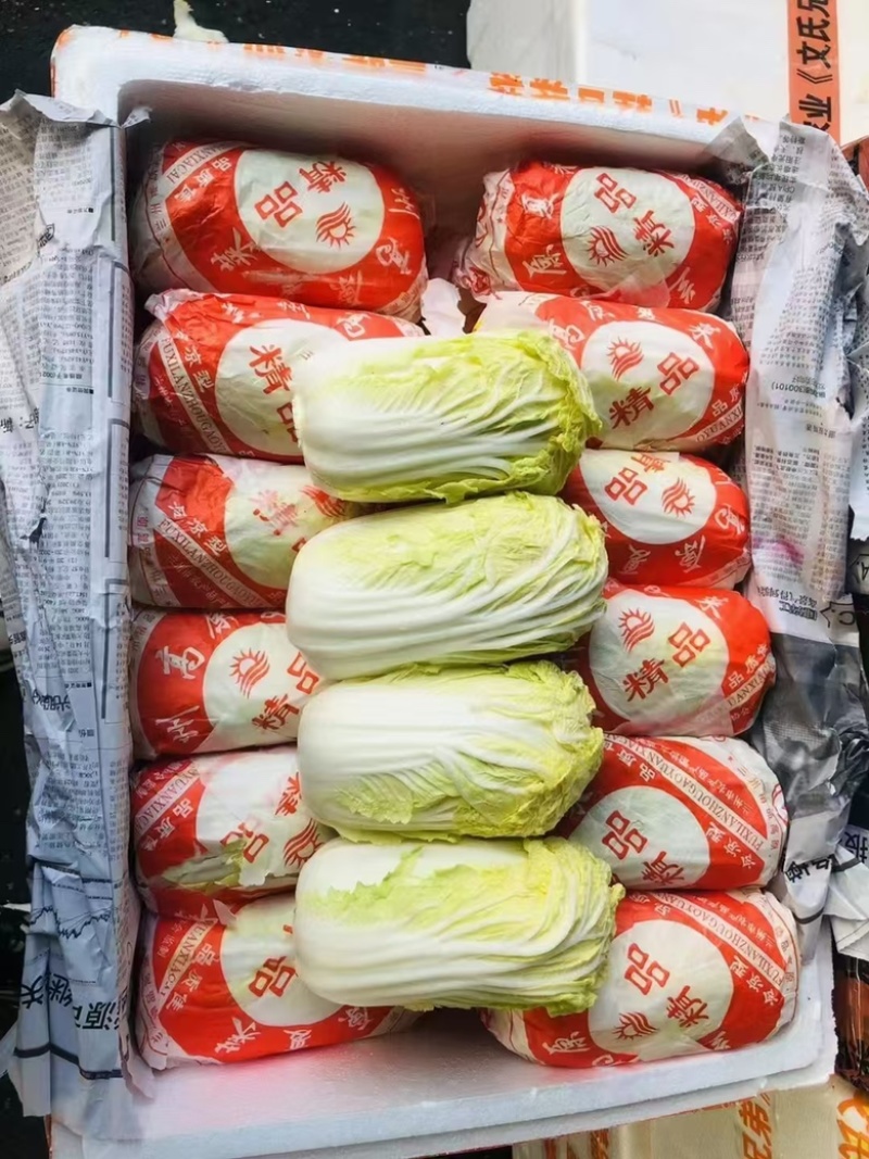 大娃娃