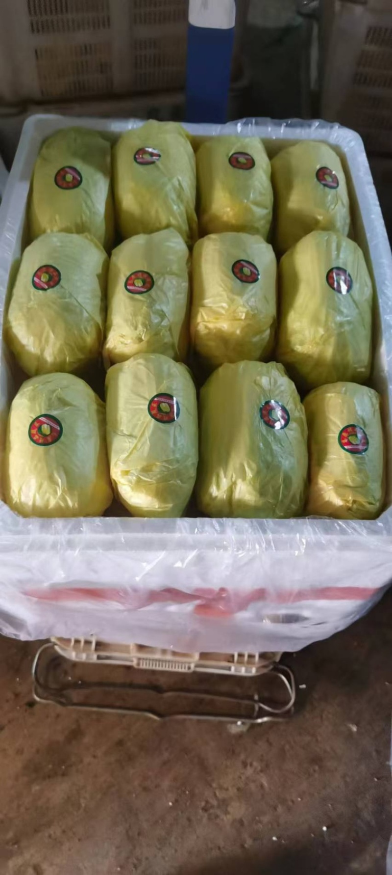 大娃娃