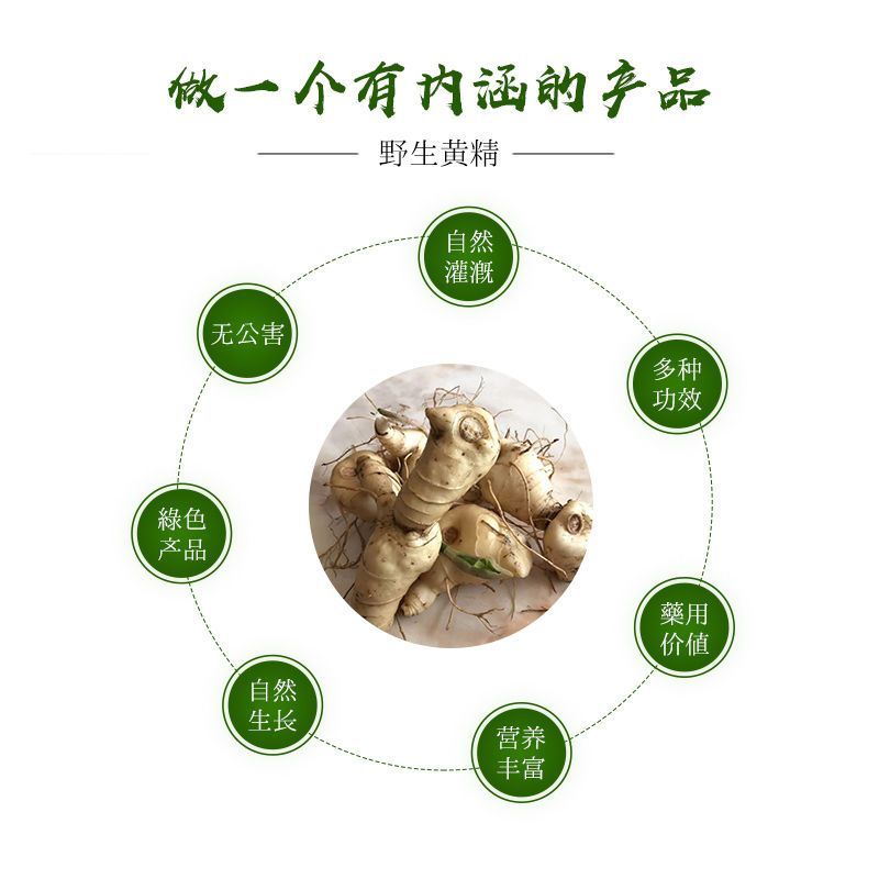 黄精新鲜鸡头黄精老虎姜煲汤泡酒黄精种芽种苗九蒸九晒药材