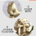 黄精新鲜鸡头黄精老虎姜煲汤泡酒黄精种芽种苗九蒸九晒药材