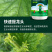 专门提龙头花打顶瓜打顶龙头不长黄瓜快速提龙头腐殖酸水溶肥