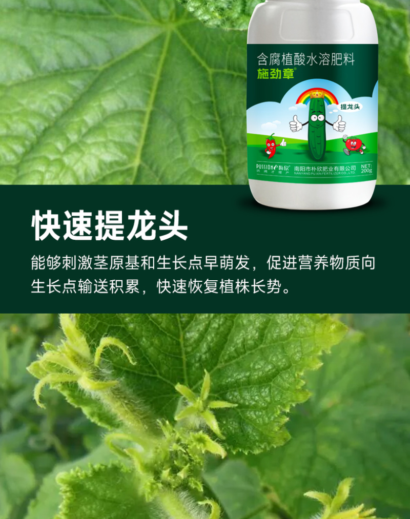 专门提龙头花打顶瓜打顶龙头不长黄瓜快速提龙头腐殖酸水溶肥