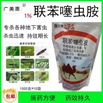 广东真格上下久，专杀各种瓜豆、红薯、生姜等所有地下害虫