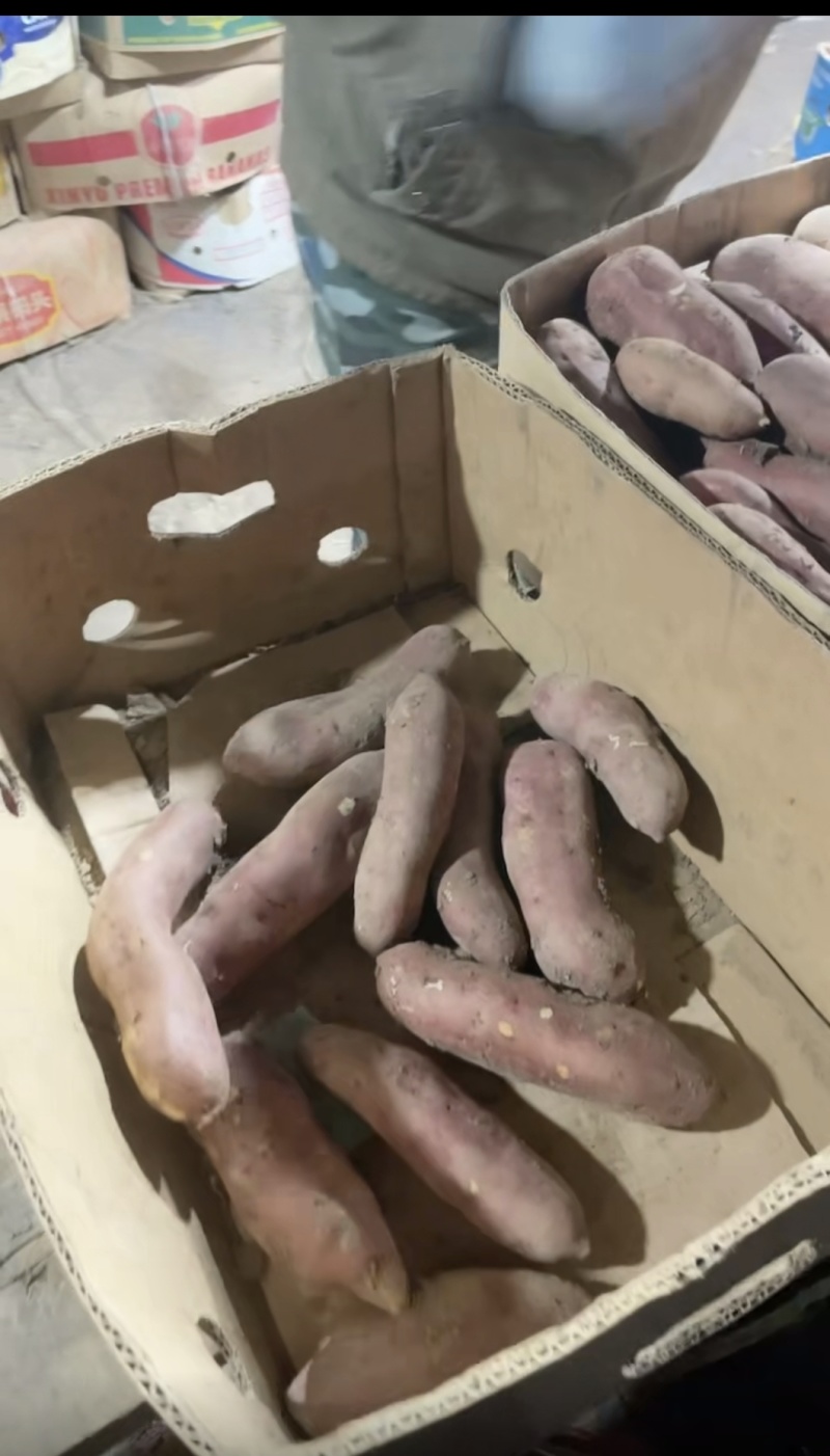 辽宁省锦州市凌海市红薯大量上市品质有保障，产地直发。