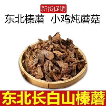 东北野生榛蘑新货榛蘑长白山土特产自然晾晒新货