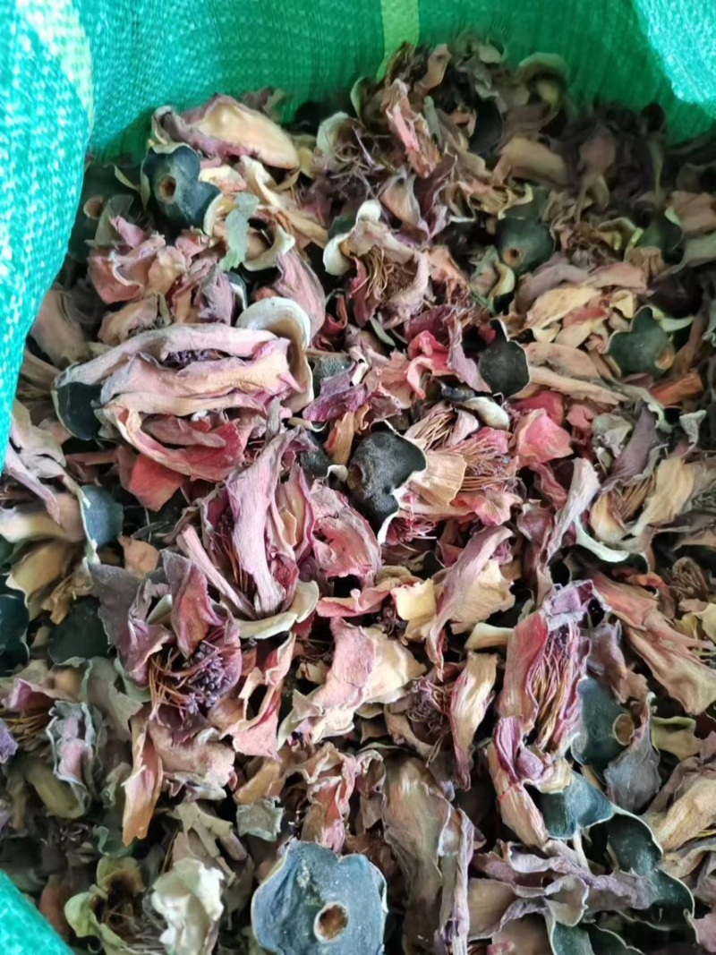云南木棉花大货直发产地直供全国发货量大从优