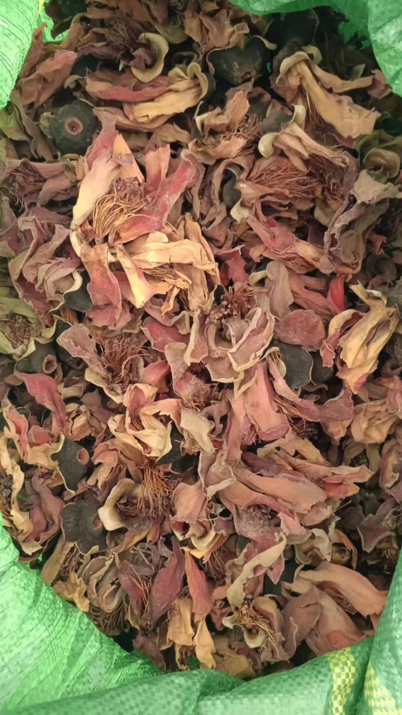 云南木棉花大货直发产地直供全国发货量大从优