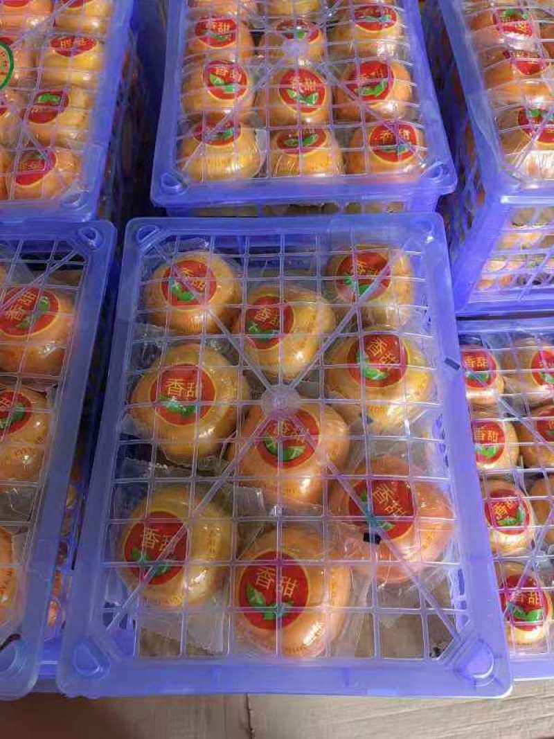 【正宗】广西恭城高山脆柿现摘现发规格齐全以质论价