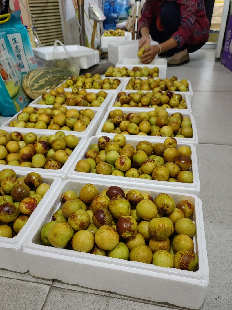 山东沾化冬枣新鲜应季水果枣子5斤包邮产地直发