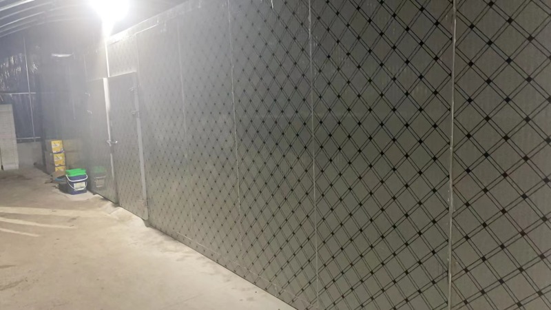 蟾蜍出售江苏连云港蟾蜍养殖销售基地直发量大从优