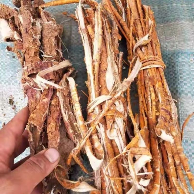 桑白皮产地一手货源量大优惠