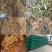 牛羊颗粒料颗粒饲料由玉米、稻草、玉米、大豆营养添加剂组