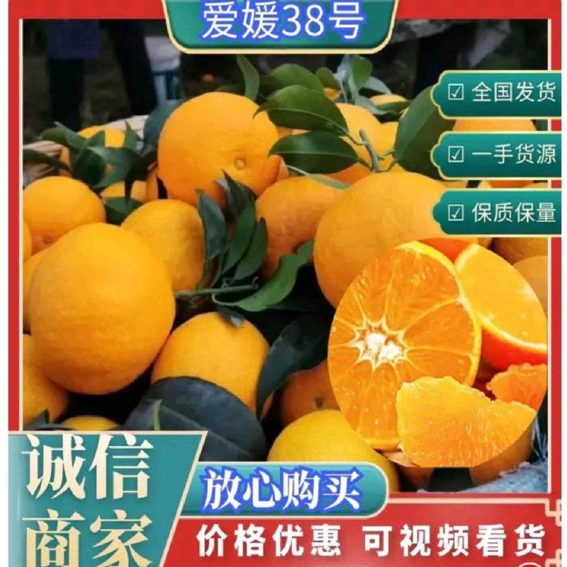 爱媛38号果冻橙，新鲜多汁，产地直发，诚信经营
