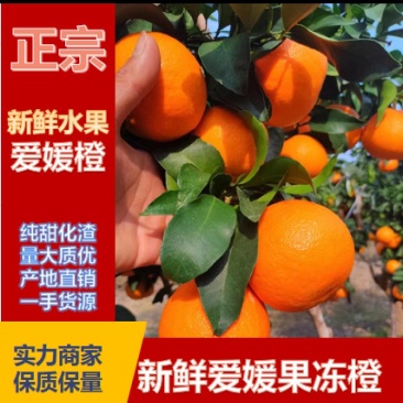 爱媛果冻橙，四川爱媛果冻橙新鲜多汁，一手货源，产地直发