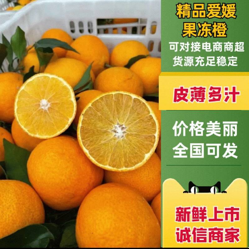 爱媛果冻橙，新鲜多汁，产地直发，大量供货,支持一件代发