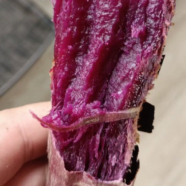 泰紫水晶紫蜜薯农场一手货源，手工挑选