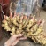 生姜产地直销，货源充足，随到随装，合作共赢