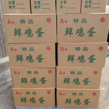 新鲜精品普通粉皮有需要的老板联系了