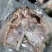 剁椒鱼头620克，适合餐饮电商团购