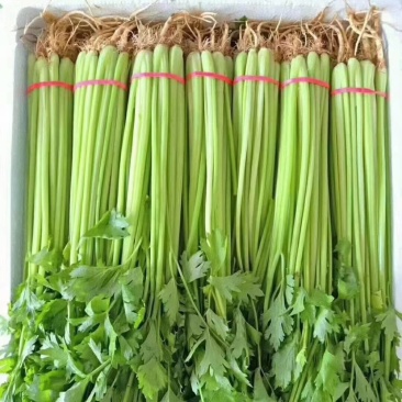 香芹