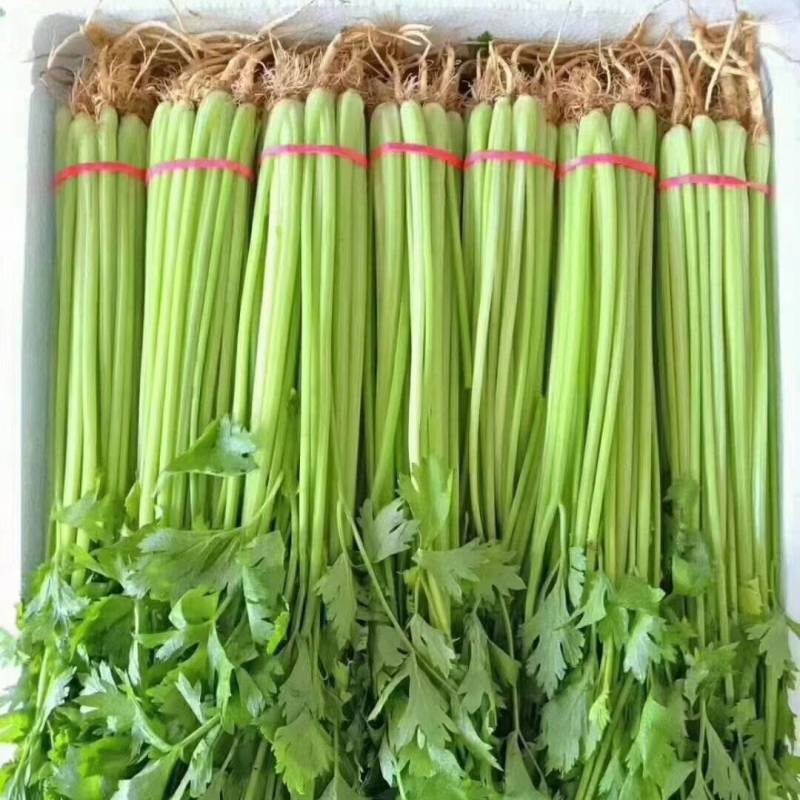 香芹