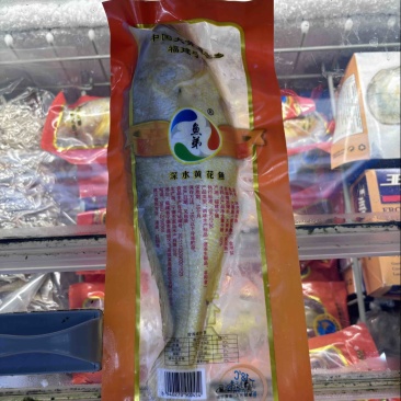精品深水大黄鱼量大从优质量保证诚信经营欢迎咨询