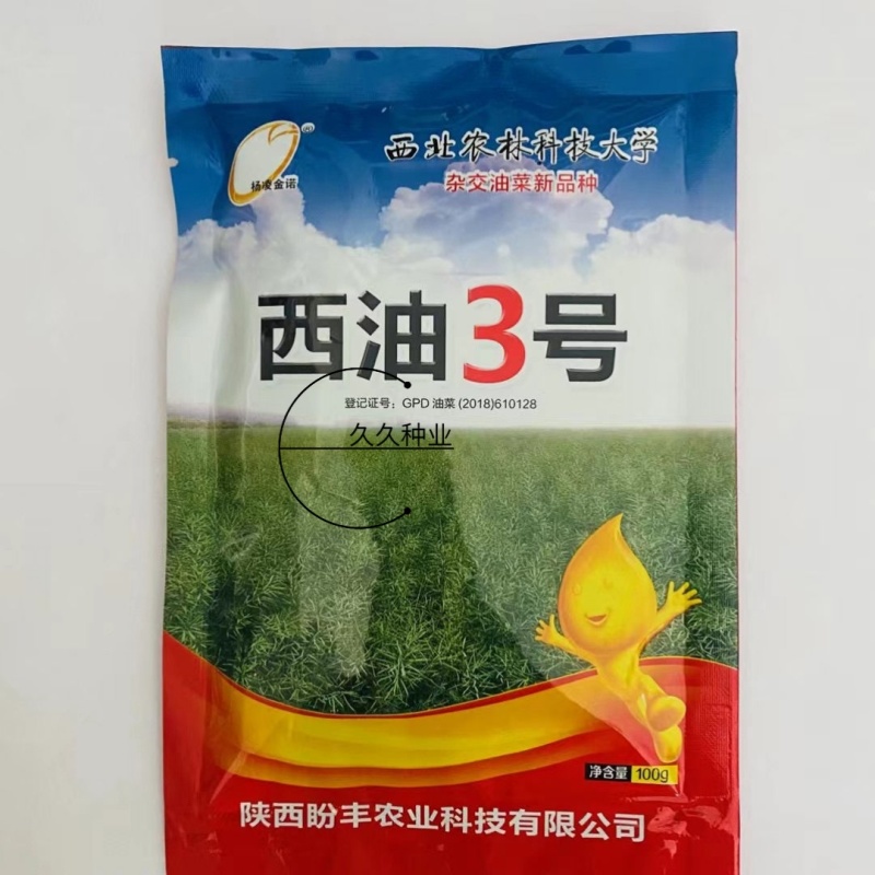 西油3号油菜种子双低甘蓝型半冬性抗倒伏抗病大黑籽高产丰产