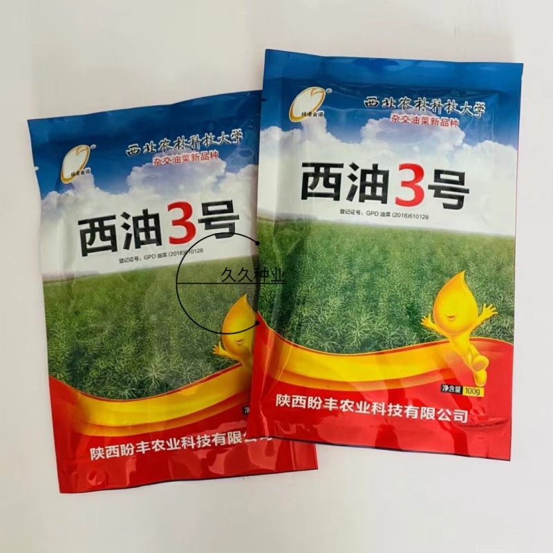 西油3号油菜种子双低甘蓝型半冬性抗倒伏抗病大黑籽高产丰产