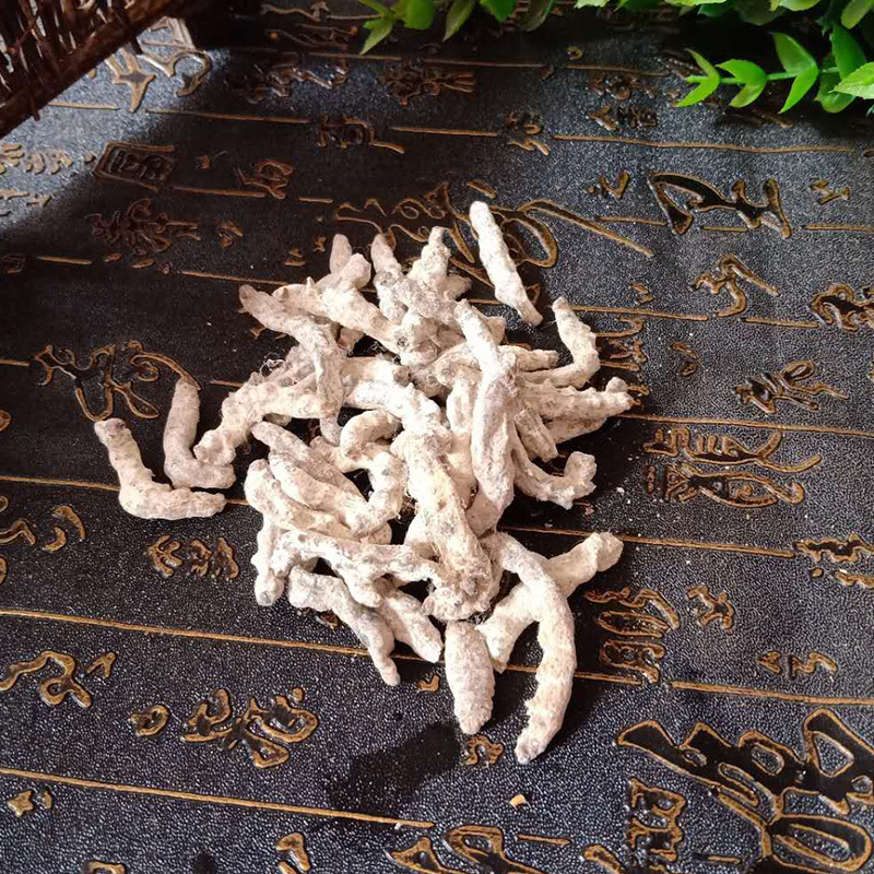 僵蚕、白僵蚕、僵虫、天虫、支持药检、新货、包邮、代磨粉