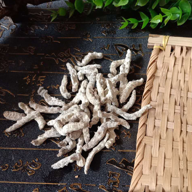 僵蚕、白僵蚕、僵虫、天虫、支持药检、新货、包邮、代磨粉