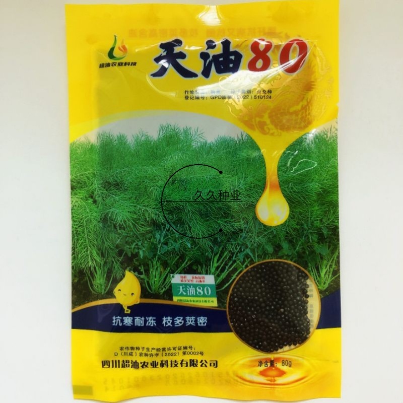 天油80油菜种子杂交种抗寒耐冻枝多荚密矮杆抗倒油菜种籽