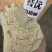 新品白胡椒粉产地直销一手货源批发价售卖