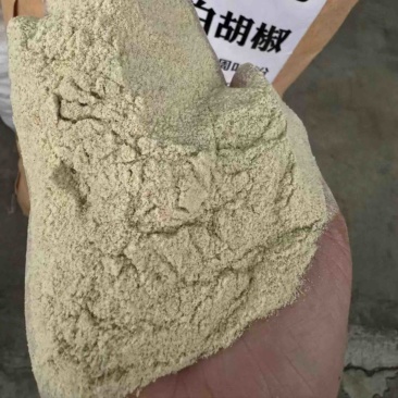 新品白胡椒粉产地直销一手货源批发价售卖