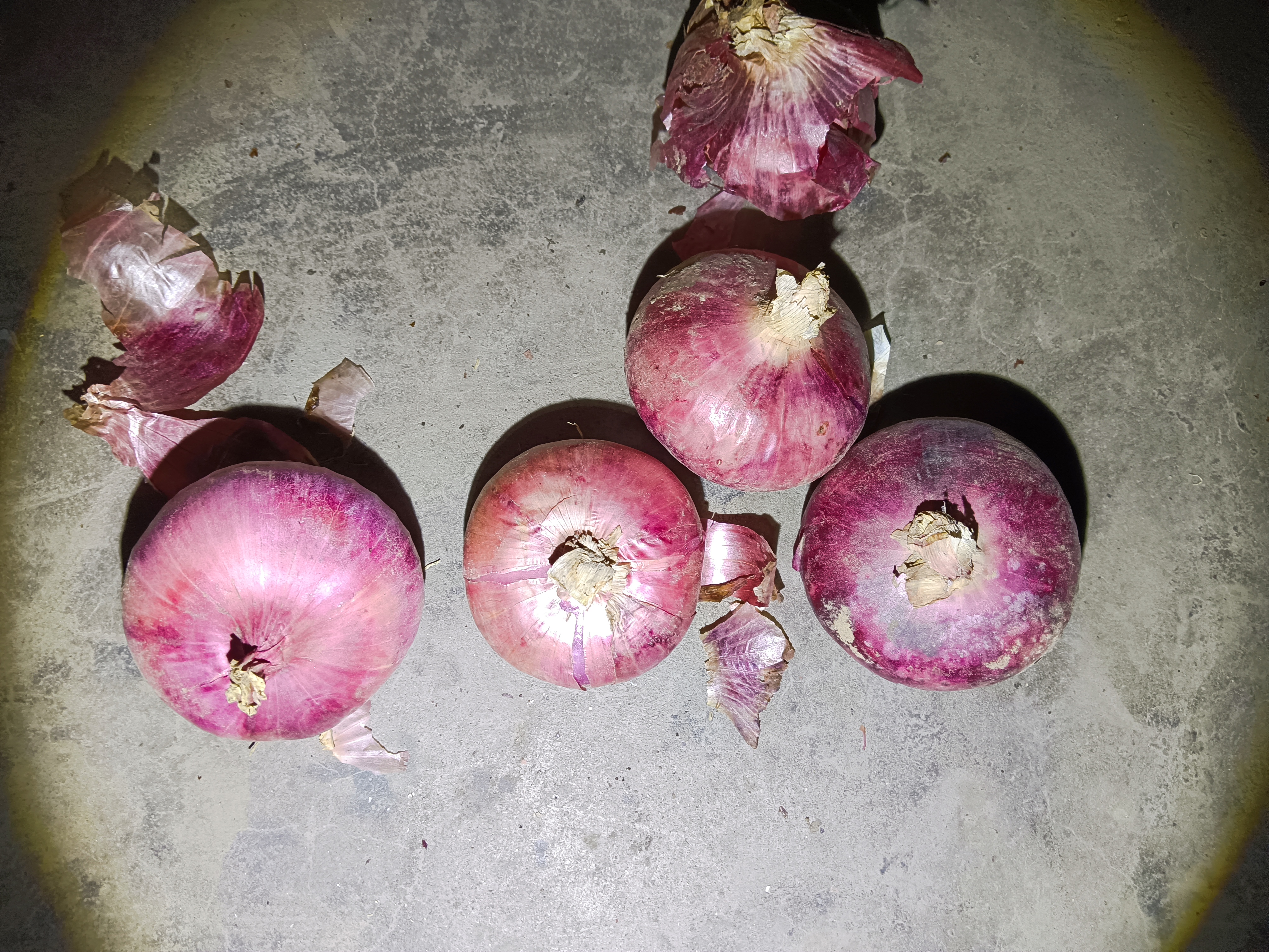 洋葱片在醋水中浸泡