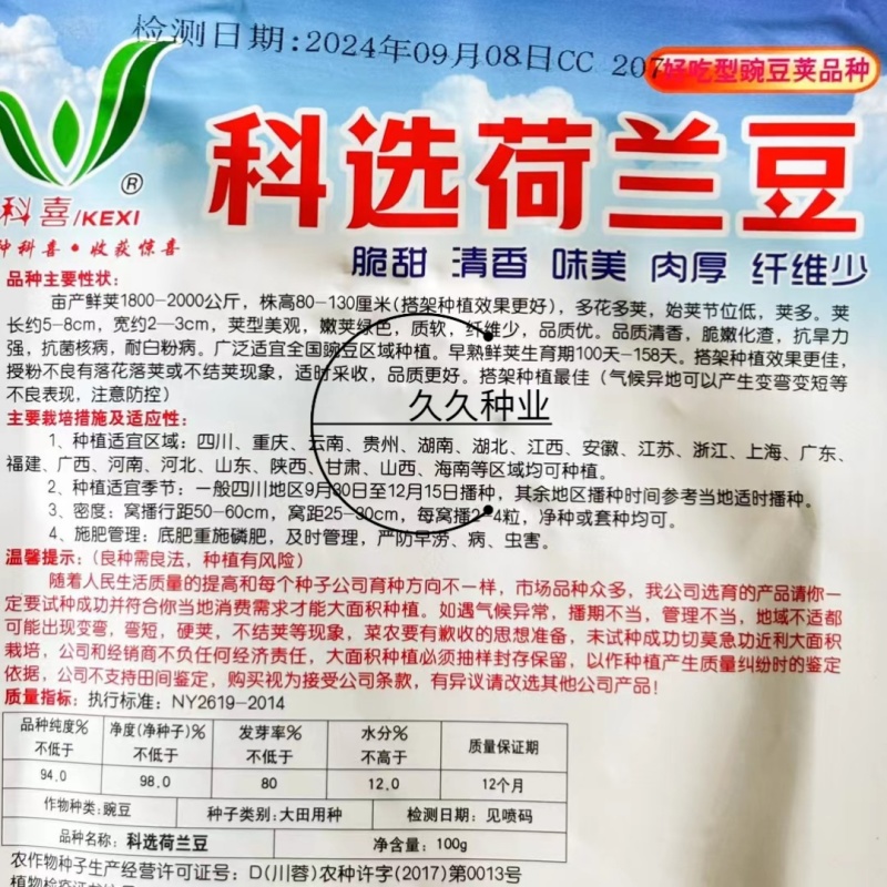 科选荷兰豆种子嫩脆清香荷兰豆大荚豌豆种籽高产农家大田蔬菜