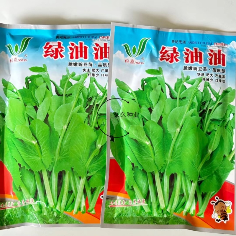 科喜绿油油嫩豌豆尖种子四季易种盆栽阳台很好吃蔬菜种子