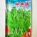 科喜绿油油嫩豌豆尖种子四季易种盆栽阳台很好吃蔬菜种子